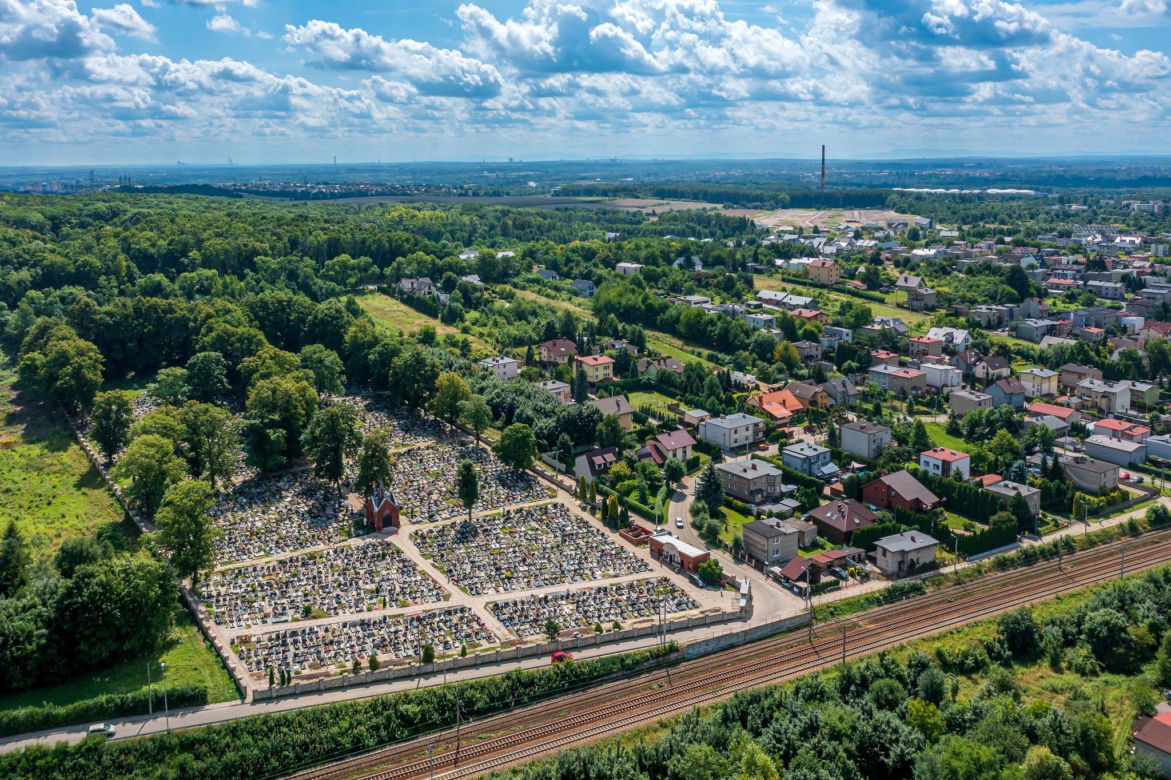 3. Radzionków - 1 hektar lasów