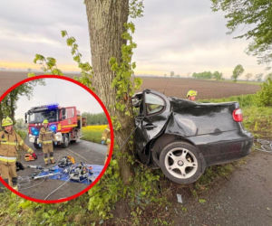 Śmiertelny wypadek pod Malborkiem. 19-latka uderzyła w drzewo i zakleszczyła się w rozbitym aucie