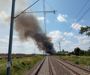 Pożar na składowisku odpadów w Przysiece Polskiej