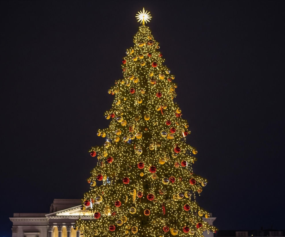Wysoka choinka dominuje centralną część kadru, gęsto ozdobiona świecącymi, ciepłymi, żółtymi lampkami. Na drzewie wiszą liczne bombki w kolorach czerwonym i złotym, niektóre odbijają światło. Na szczycie choinki lśni jasna, promienista gwiazda. Tło jest ciemne, granatowe, a w dolnej części obrazu widoczne są fragmenty architektoniczne, przypominające budynek z kolumnami.