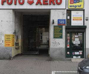Plaga szczurów na Woli