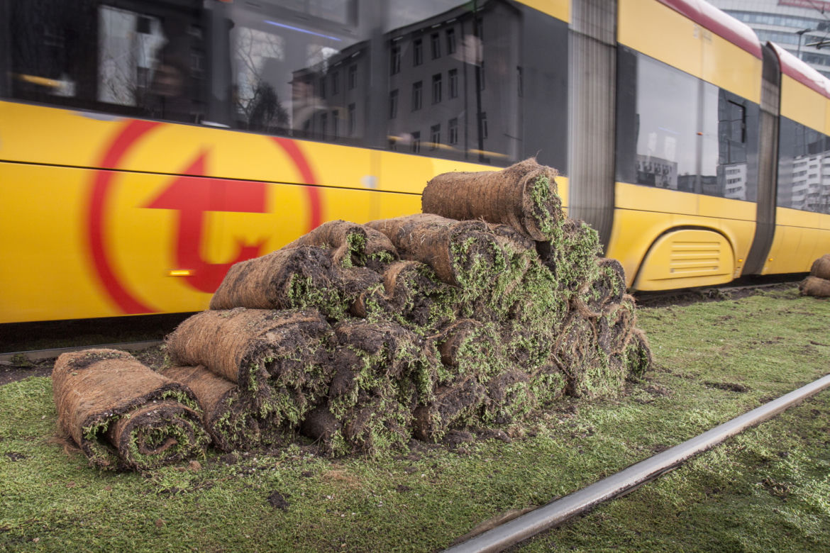 Tramwajarze zazielenili torowiska w centrum 