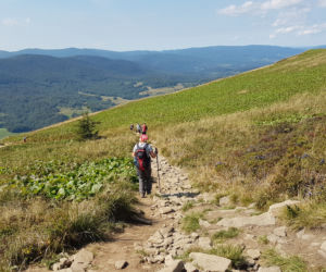 BIESZCZADY: Spory ruch na szlakach. Polacy chętnie wybierają na wypocznek podkarpackie góry [WIDEO, FOTO]	