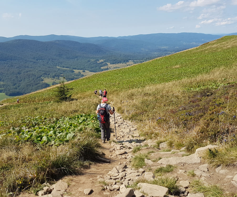 BIESZCZADY: Spory ruch na szlakach. Polacy chętnie wybierają na wypocznek podkarpackie góry [WIDEO, FOTO]	