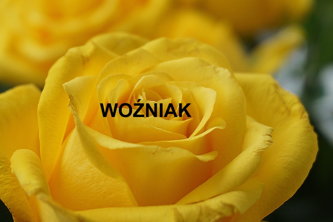 WOŹNIAK 