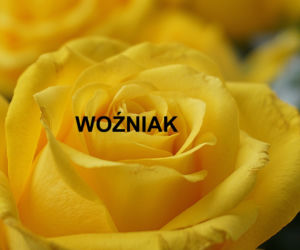 Najpopularniejsze nazwiska 2021 w Polsce. Które występują najczęściej? 