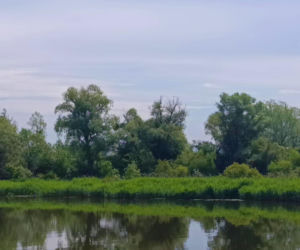 Tramwaj wodny Szczecin - Mescherin - Gartz