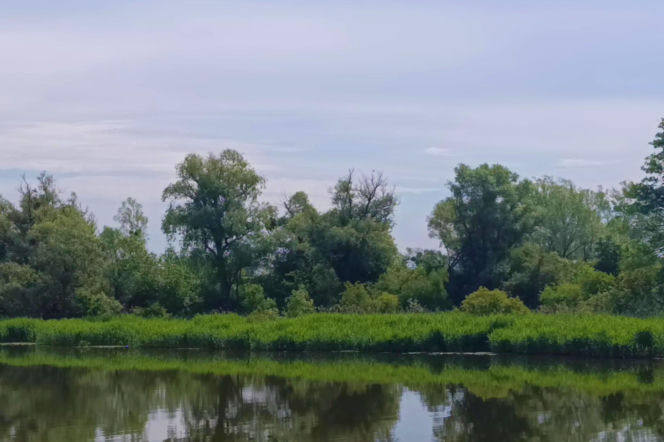 Tramwaj wodny Szczecin - Mescherin - Gartz