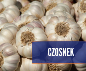Czego nie może jeść pies? Te rzeczy mogą mu poważnie zaszkodzić! [LISTA]