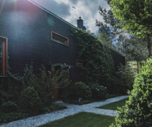 Jungle House - dom wśród drzew