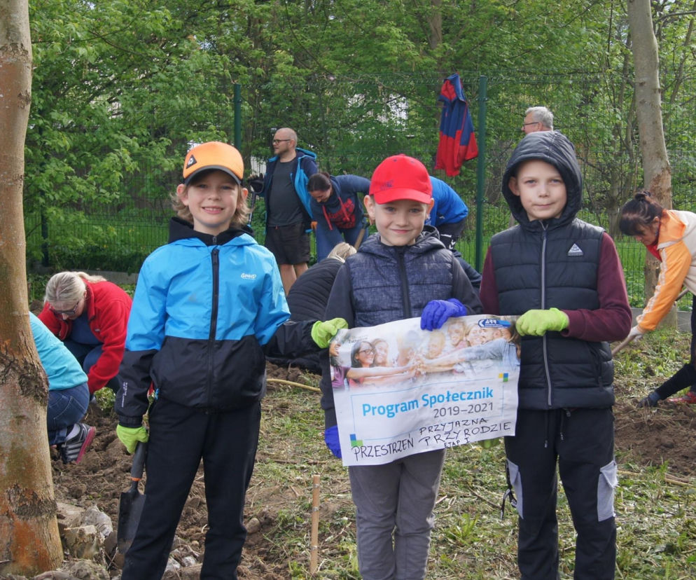 „Przestrzeń przyjazna przyrodzie” w SP5 