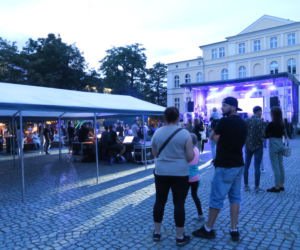 14. Multi Art Festival w Kaliszu