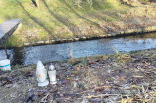 Danusia nie żyje. Co się dzieje z 12-latką, podejrzaną o zabójstwo?