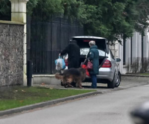 Urodziny Maryli Rodowicz