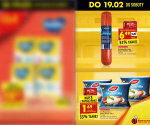 Gigapromocje w Biedronce