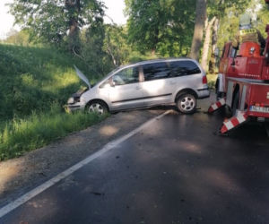 Gałąź spadła na drogę. Kierowca nie zdążył wyhamować. Jedna osoba ranna [ZDJĘCIA]