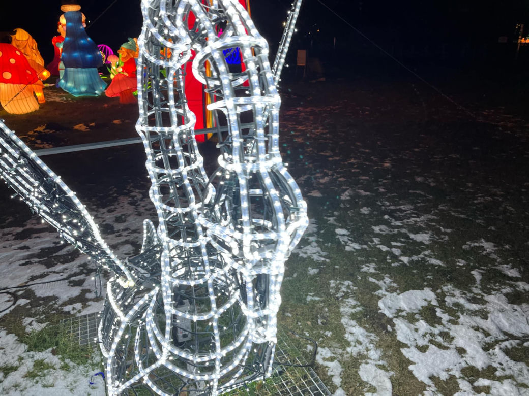Garden of Lights w Szczecinie