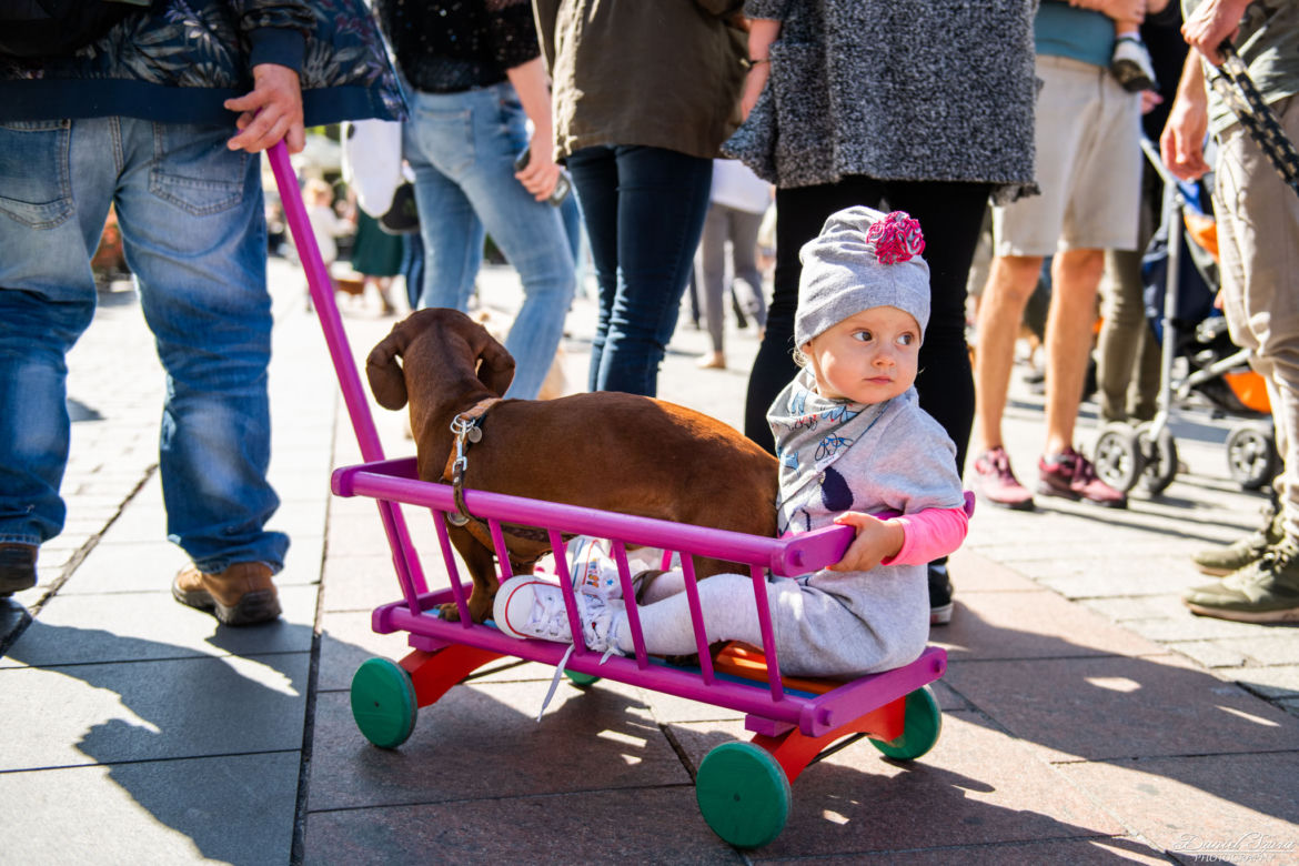 Marsz Jamników 2019 w Krakowie