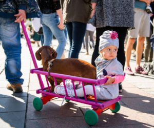Marsz Jamników 2019 w Krakowie