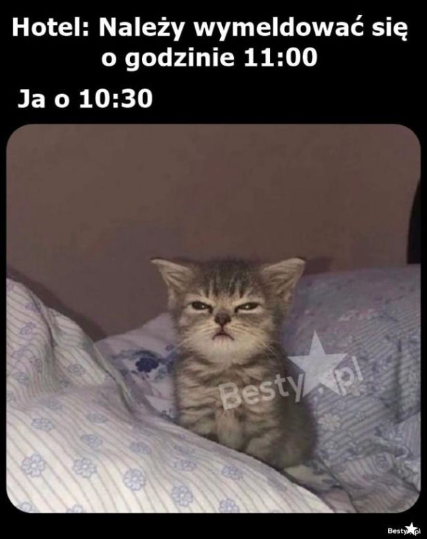 Wakacje all inclusive. Oto najlepsze memy tego lata!
