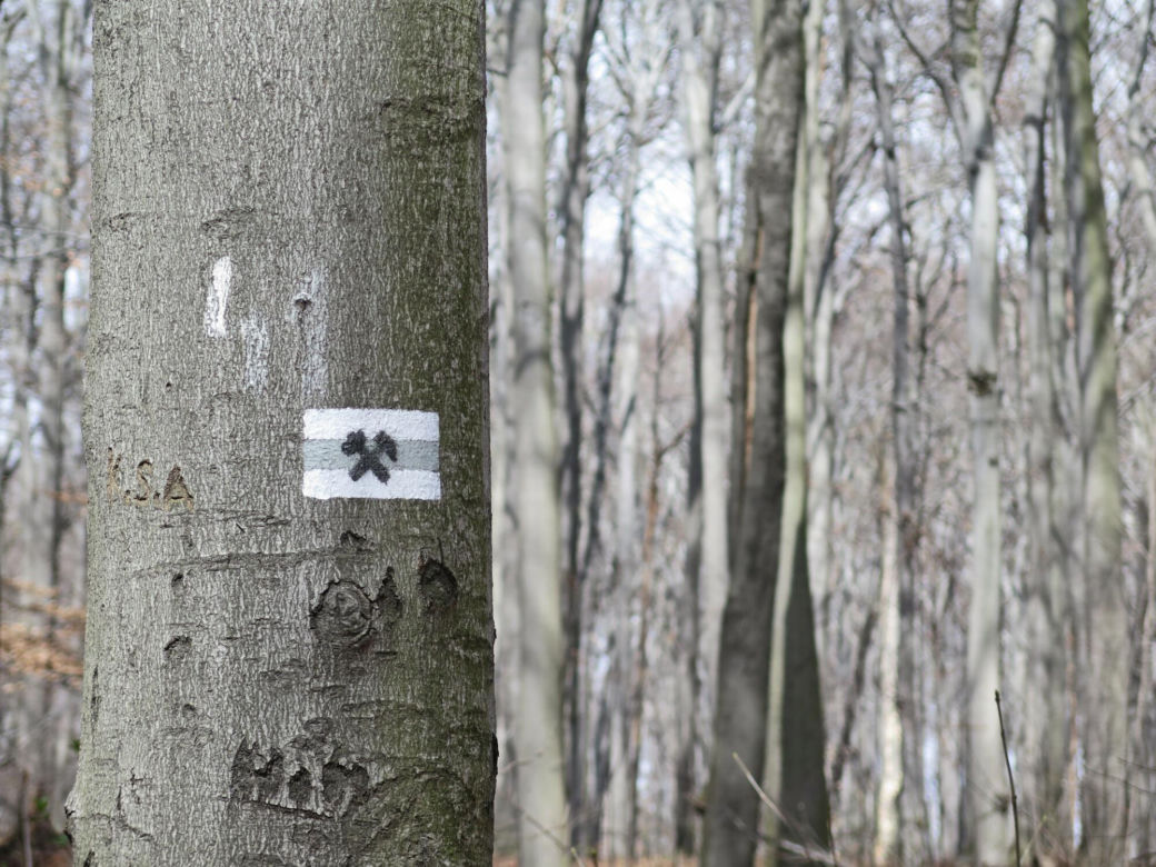 Rezerwat Segiet udostępni nowe szlaki dla mieszkańców