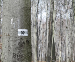 Rezerwat Segiet udostępni nowe szlaki dla mieszkańców