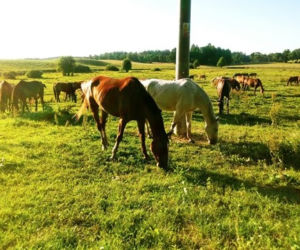Warmia i Mazury. Wypoczynek bez tłumów