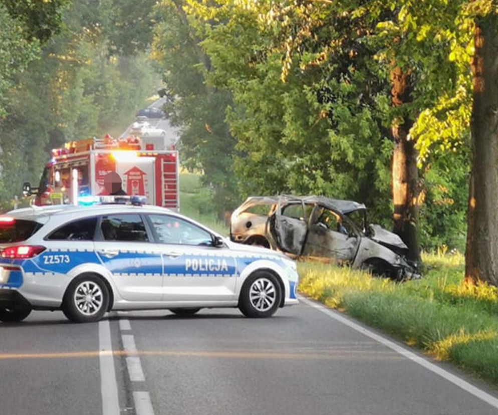 Mężczyzna spłonął na miejscu. Pożar gasili przejeżdżający kierowcy