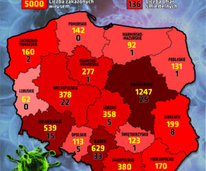 Zobacz ile osób zachoruje na święta [PROGNOZY, WYKRESY, MAPY]