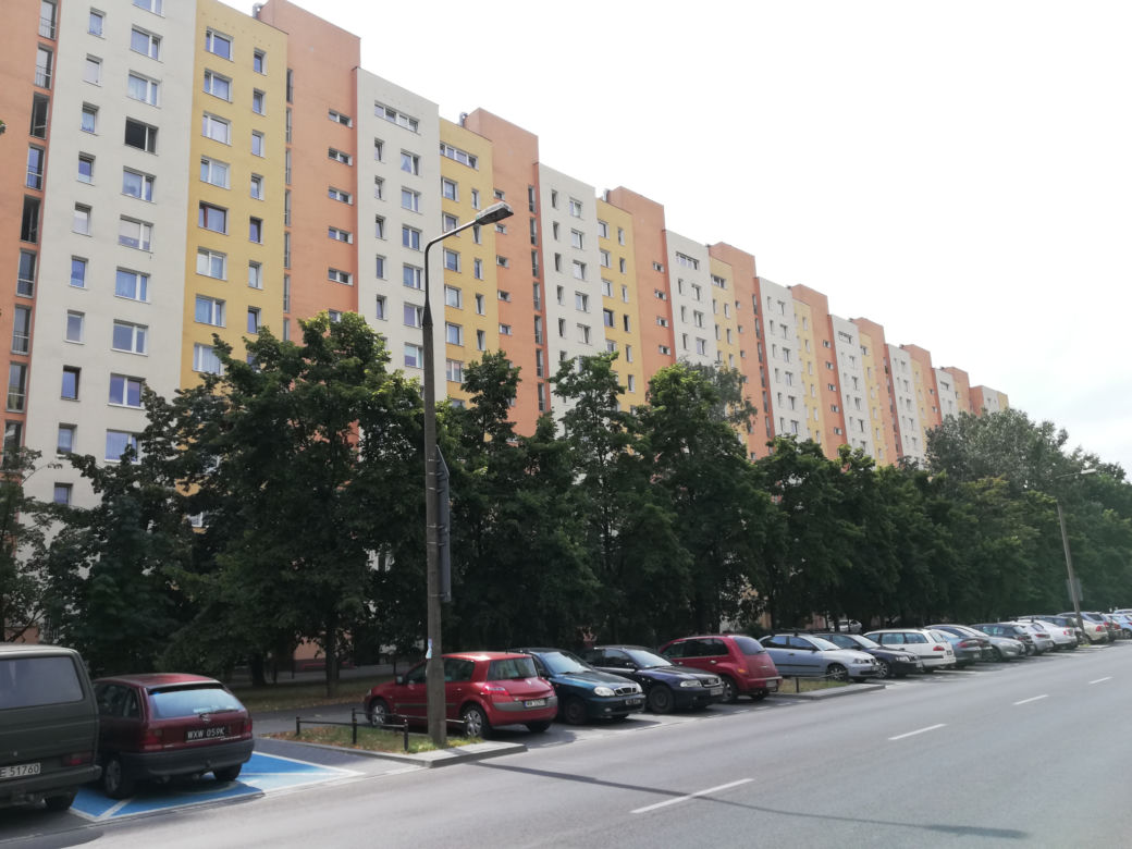 Nie śpię po nocach przez włochatego pająka