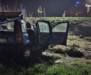 Mikołów. 20-latek roztrzaskał się fiatem na drzewie [ZDJĘCIA]