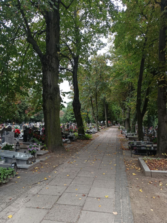 Ceny zniczy i wiązanek. Cmentarz Winiarski - Piątkowo Poznań