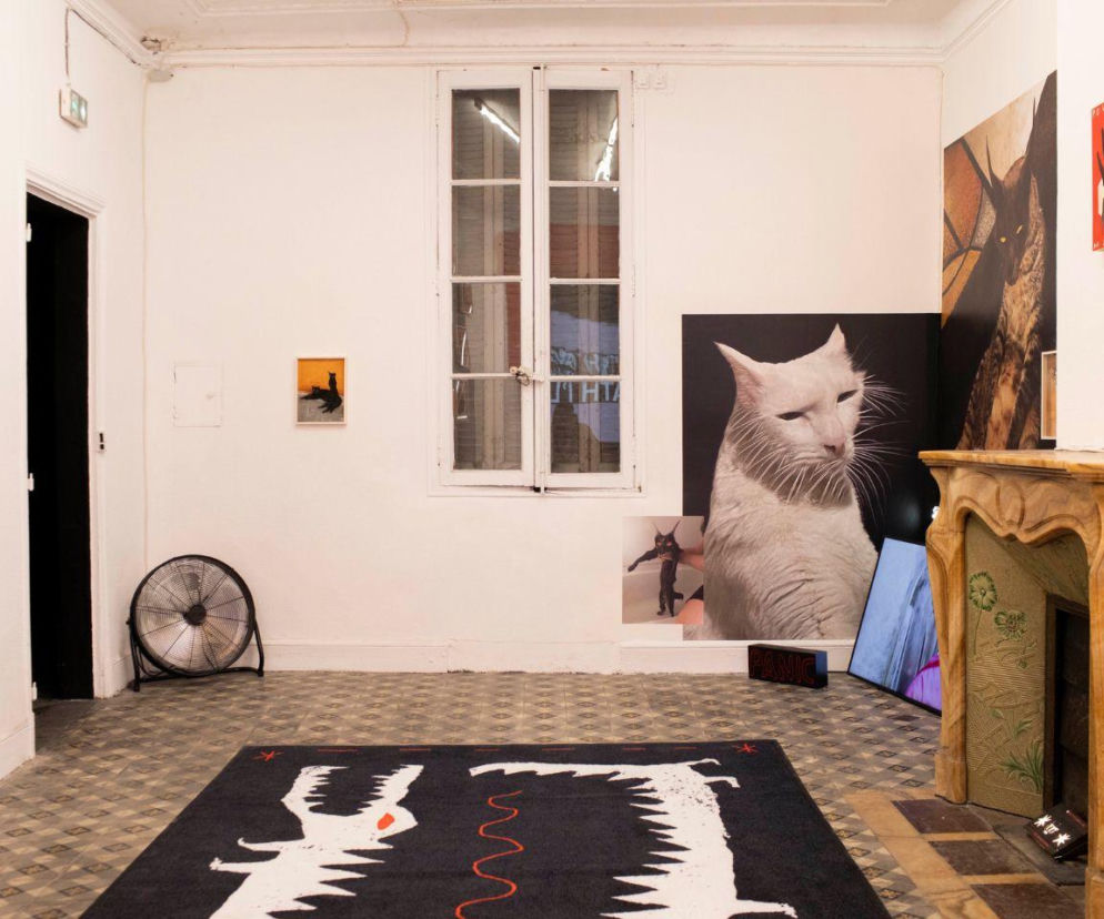 Międzynarodowy Fotofestiwal