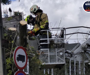 Powalone drzewa i awarie prądu w części województwa