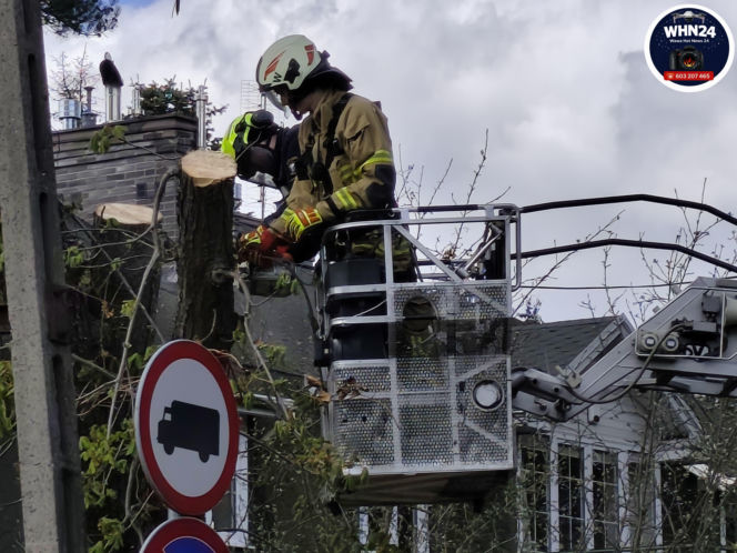 Powalone drzewa i awarie prądu w części województwa