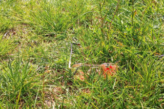 Dachowanie BMW w Mostowie w powiecie łosickim