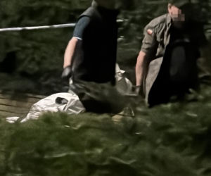 Szok na Żoliborzu! Mężczyzna runął z trzeciego piętra, w mieszkaniu drugie ciało
