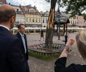 Drzewo na rynku zagrożone. Wczorajsza burza ułamała jeden z konarów