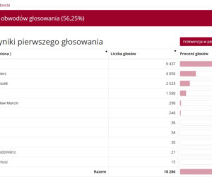 Wybory prezydenckie 2020 w woj. śląskim. W Katowicach i Sosnowcu wygrał Rafał Trzaskowski [WYNIKI W MIASTACH I POWIATACH]