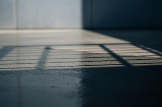 Surowy wyrok za znęcanie nad psami w Mirsku. Co dokładnie spotkało oprawców zwierząt?