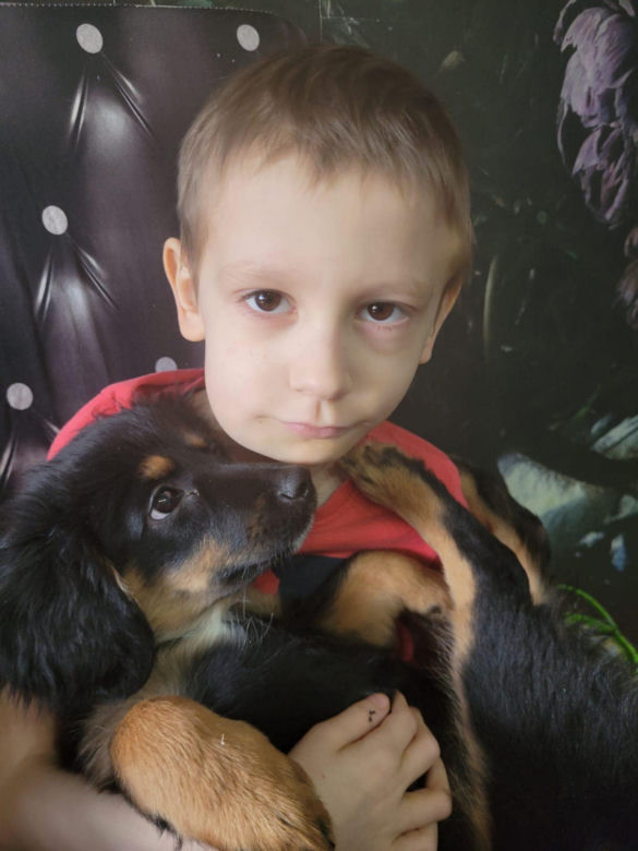 Nie żyje Pan Torpeda