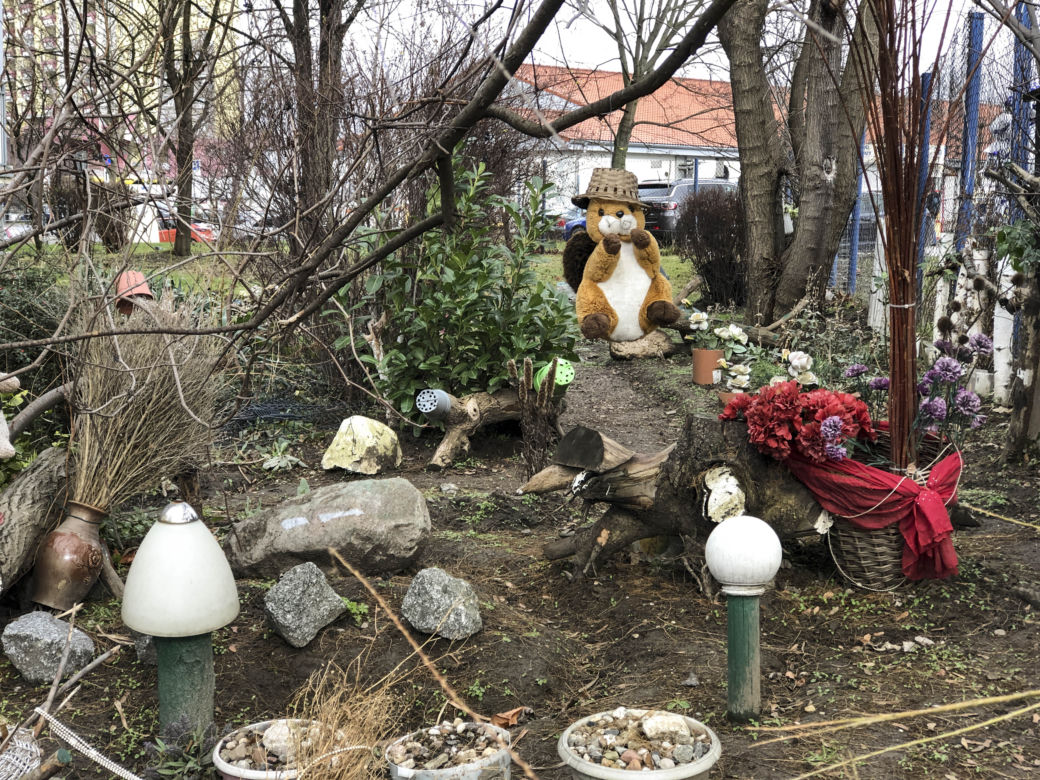 Lalki i misie wiszące na drzewie przy Budziszyńskiej 