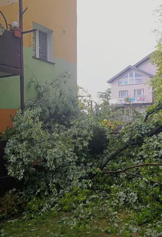 Krajobraz jak po apokalipsie! Potężna burza w Dęblinie. Drzewa miażdżyły samochody