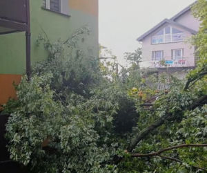 Krajobraz jak po apokalipsie! Potężna burza w Dęblinie. Drzewa miażdżyły samochody