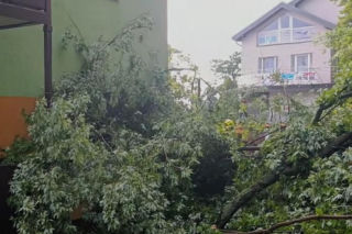 Krajobraz jak po apokalipsie! Potężna burza w Dęblinie. Drzewa miażdżyły samochody