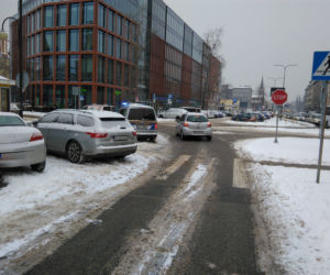 Tak się parkuje w Gliwicach. Straż Miejska opublikowała zdjęcia Miszczów z lutego [GALERIA]