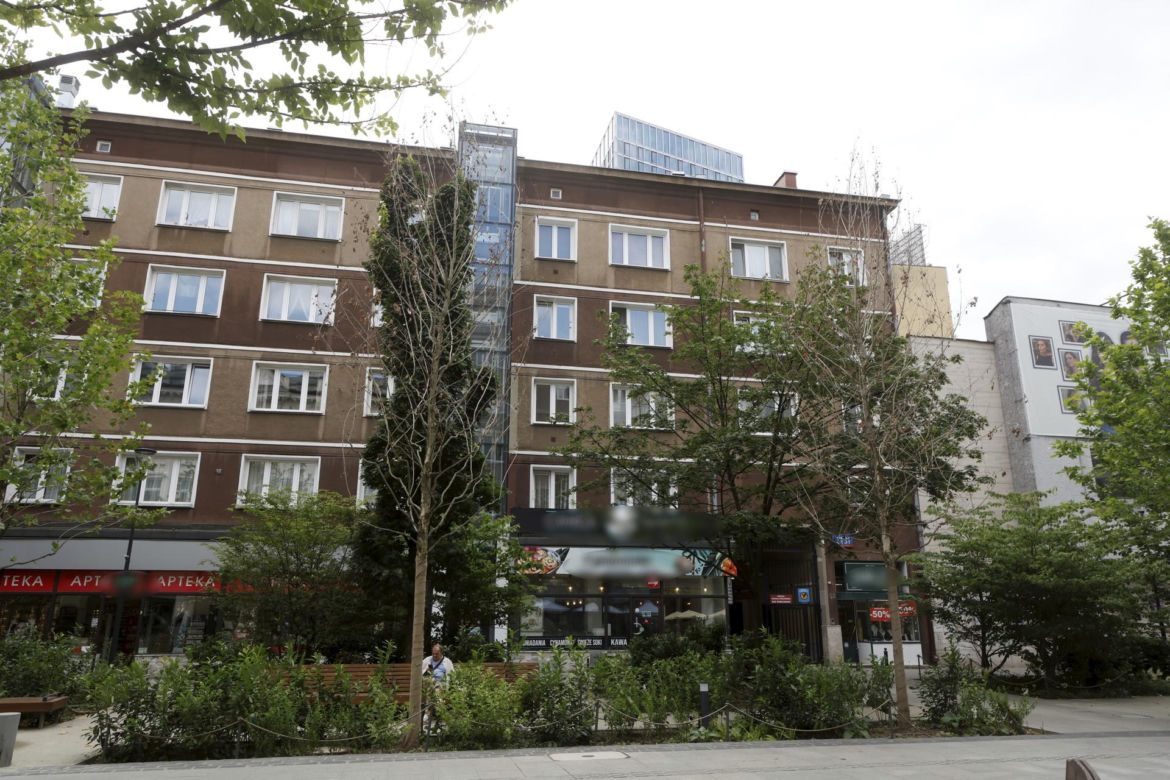 Martwe drzewa na Chmielnej w Warszawie. Miasto potwierdza. „Termin wymiany to jesień”