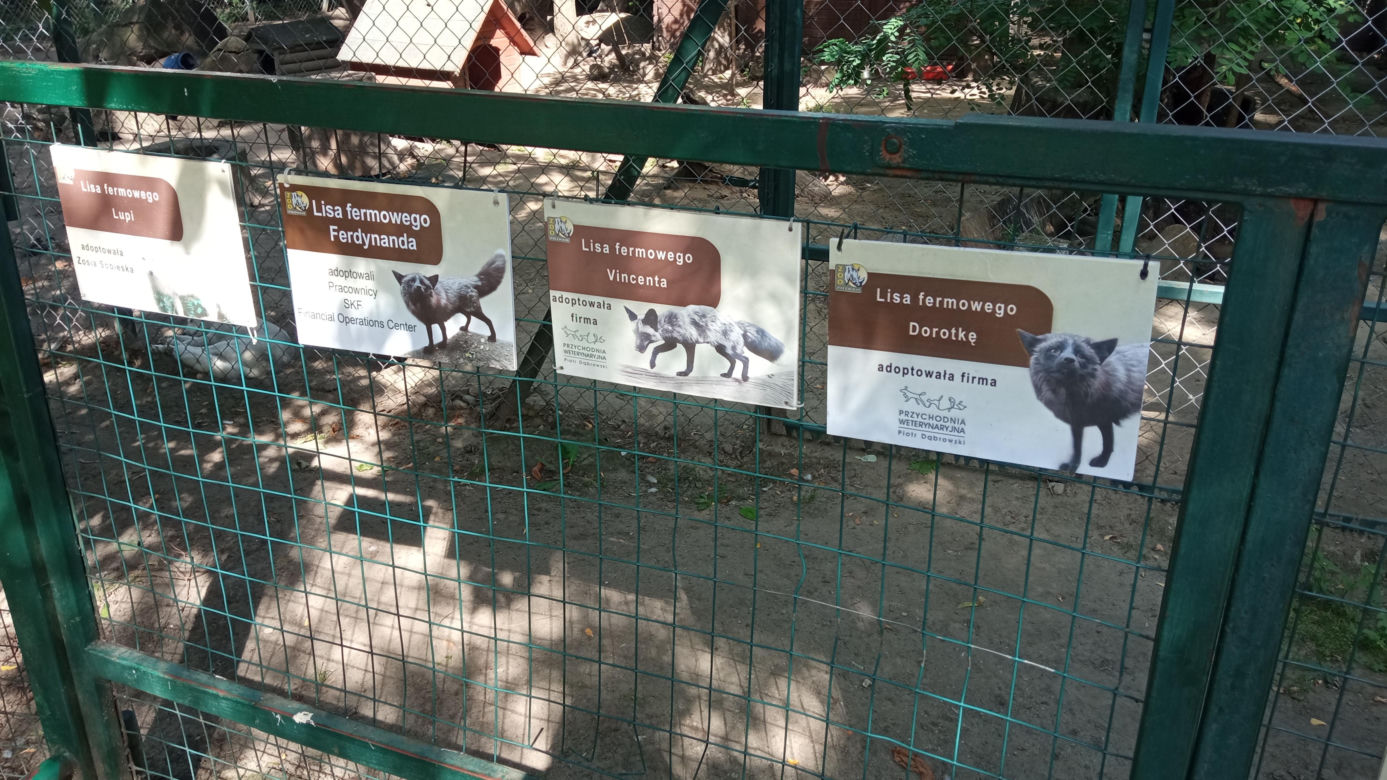 Stare ZOO w Poznaniu. Idealne miejsce na rodzinne spacery w sercu miasta 