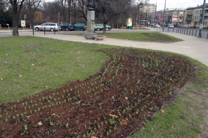 park skaryszewski