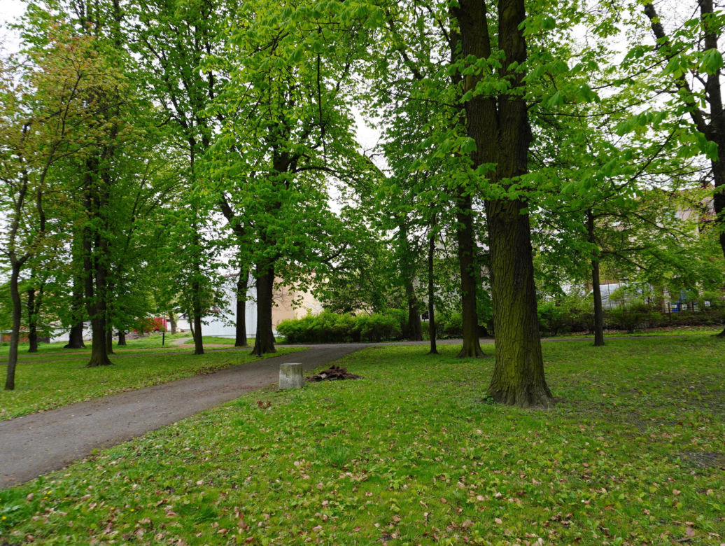 Park Bronowice wiosną 2024
